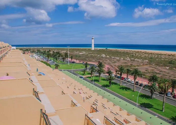 Palm Garden Ocean View * מורו דל חאבלה