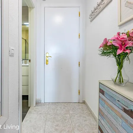 Palm Garden Ocean View